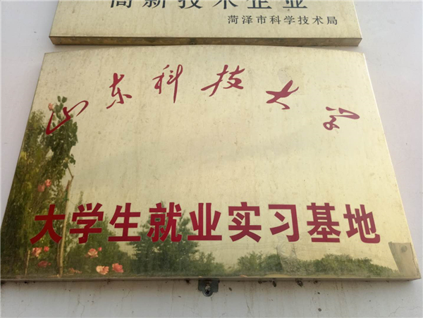 公司榮譽(yù)
